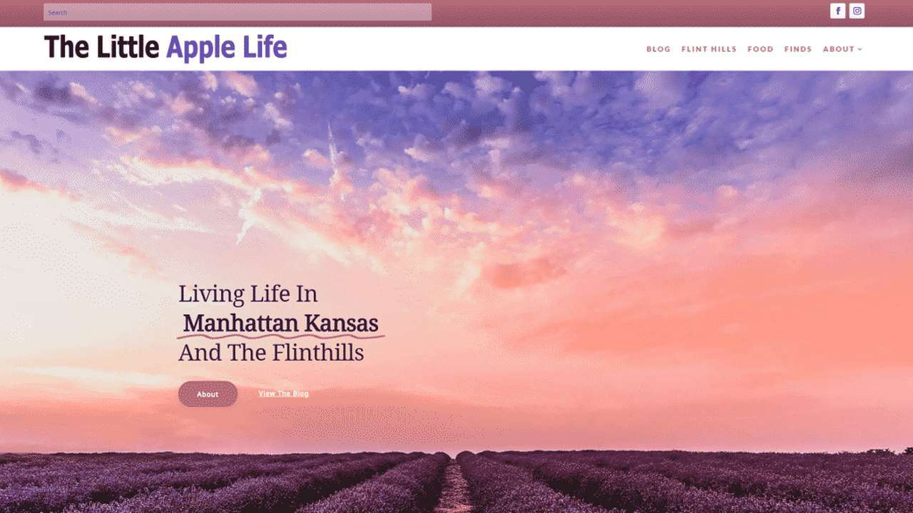 The Little Apple Life's New Website