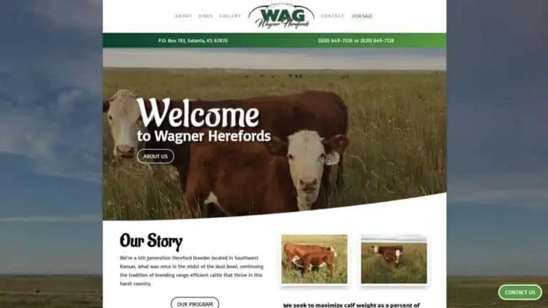 Wagherefords website creation