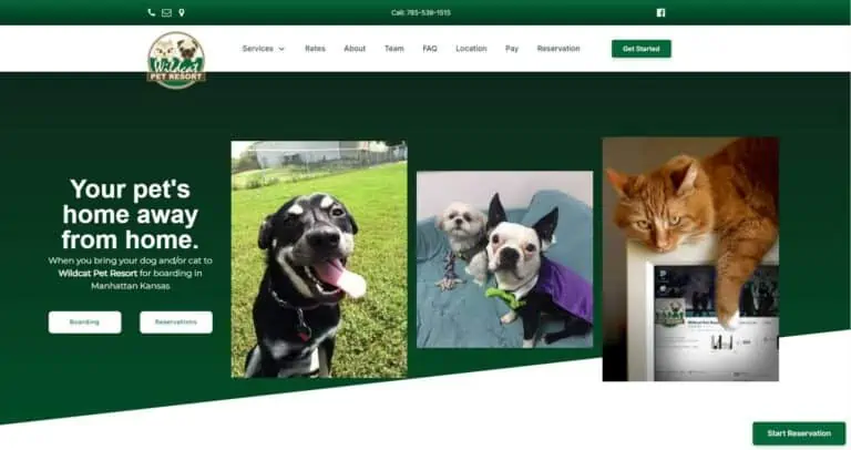 Wildcat Pet Resort - Web Design Portfolio
