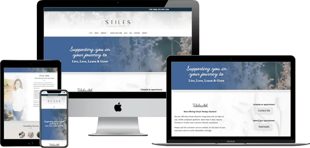 The website design for selis.